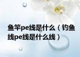 魚竿pe線是什么（釣魚線pe線是什么線）