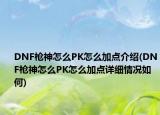 DNF槍神怎么PK怎么加點(diǎn)介紹(DNF槍神怎么PK怎么加點(diǎn)詳細(xì)情況如何)