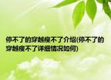 停不了的穿越瘦不了介紹(停不了的穿越瘦不了詳細(xì)情況如何)
