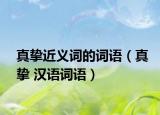 真摯近義詞的詞語（真摯 漢語詞語）