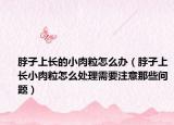 脖子上長的小肉粒怎么辦（脖子上長小肉粒怎么處理需要注意那些問題）