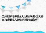 圣火徽章2培養(yǎng)什么人比較好介紹(圣火徽章2培養(yǎng)什么人比較好詳細(xì)情況如何)