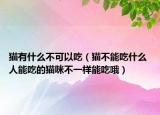 貓有什么不可以吃（貓不能吃什么 人能吃的貓咪不一樣能吃哦）