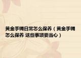 黃金手鐲日常怎么保養(yǎng)（黃金手鐲怎么保養(yǎng) 這些事項要當心）
