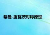 黎曼-施瓦茨對稱原理