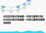 杜拉拉升職記電視劇一共有幾集啊介紹(杜拉拉升職記電視劇一共有幾集啊詳細情況如何)