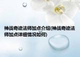 神戰(zhàn)奇跡法師加點(diǎn)介紹(神戰(zhàn)奇跡法師加點(diǎn)詳細(xì)情況如何)