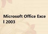 Microsoft Office Excel 2003