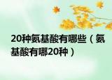 20種氨基酸有哪些（氨基酸有哪20種）