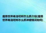 魔獸世界希洛塔姆怎么抓介紹(魔獸世界希洛塔姆怎么抓詳細(xì)情況如何)