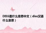 DISS是什么意思中文（diss漢語什么意思）