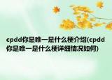cpdd你是唯一是什么梗介紹(cpdd你是唯一是什么梗詳細(xì)情況如何)