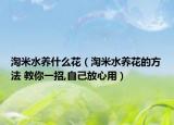 淘米水養(yǎng)什么花（淘米水養(yǎng)花的方法 教你一招,自己放心用）