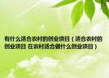 有什么適合農(nóng)村的創(chuàng)業(yè)項目（適合農(nóng)村的創(chuàng)業(yè)項目 在農(nóng)村適合做什么創(chuàng)業(yè)項目）