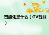 智能化是什么（GV智能）