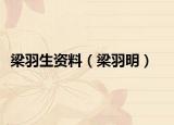 梁羽生資料（梁羽明）