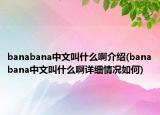 banabana中文叫什么啊介紹(banabana中文叫什么啊詳細(xì)情況如何)