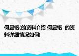 何晟銘(的資料介紹 何晟銘  的資料詳細(xì)情況如何)