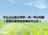 怎么讓頭發(fā)長得快一點(diǎn)一年長到腰（想要長發(fā)快快及腰該怎么辦）