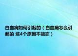 白血病如何引起的（白血病怎么引起的 這4個原因不能忘）