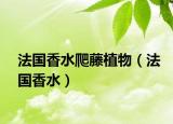 法國香水爬藤植物（法國香水）