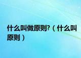 什么叫做原則?（什么叫原則）