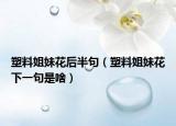 塑料姐妹花后半句（塑料姐妹花下一句是啥）