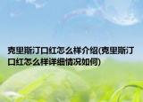 克里斯汀口紅怎么樣介紹(克里斯汀口紅怎么樣詳細(xì)情況如何)