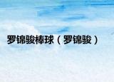羅錦駿棒球（羅錦駿）