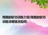 殘酷的軟功訓練介紹(殘酷的軟功訓練詳細情況如何)