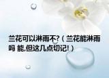 蘭花可以淋雨不?（蘭花能淋雨嗎 能,但這幾點切記!）