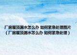 廠房屋頂漏水怎么辦 如何緊急處理圖片（廠房屋頂漏水怎么辦 如何緊急處理）