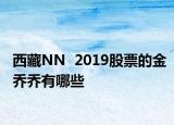 西藏NN  2019股票的金喬喬有哪些