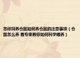 怎樣飼養(yǎng)倉鼠如何養(yǎng)倉鼠的注意事項（倉鼠怎么養(yǎng) 看專家教你如何科學(xué)喂養(yǎng)）