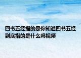 四書五經(jīng)指的是你知道四書五經(jīng)到底指的是什么嗎視頻
