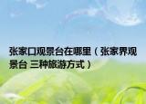 張家口觀景臺(tái)在哪里（張家界觀景臺(tái) 三種旅游方式）
