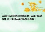 云南白藥牙膏怎樣區(qū)別真假（云南白藥怎么樣 怎么鑒別云南白藥牙膏真假）