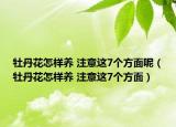 牡丹花怎樣養(yǎng) 注意這7個(gè)方面呢（牡丹花怎樣養(yǎng) 注意這7個(gè)方面）