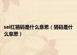 sei紅猜碼是什么意思（猜碼是什么意思）