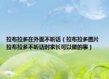 拉布拉多在外面不聽話（拉布拉多圖片 拉布拉多不聽話時家長可以做的事）