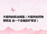 犬瘟熱的防治措施（犬瘟熱如何物理降溫 當(dāng)一個(gè)合格的鏟屎官）