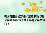 梔子花的養(yǎng)殖方法和注意事項（梔子花怎么養(yǎng) 六個冬天養(yǎng)梔子花的竅門）