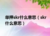 單押skr什么意思（skr什么意思）