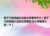 君子蘭的養(yǎng)殖方法和注意事項(xiàng)冬天（君子蘭的養(yǎng)殖方法和注意事項(xiàng) 向大家簡(jiǎn)單介紹一下）