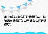 dell筆記本怎么打開鍵盤燈光（dell筆記本鍵盤燈怎么開 該怎么打開鍵盤燈）
