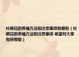 杜鵑花的養(yǎng)殖方法和注意事項有哪些（杜鵑花的養(yǎng)殖方法和注意事項 希望對大家有所幫助）