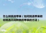 怎么樣挑選蘋果（如何挑選蘋果教你挑選不同種類的蘋果的方法）