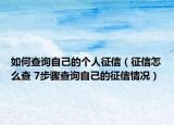 如何查詢自己的個人征信（征信怎么查 7步驟查詢自己的征信情況）