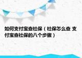 如何支付寶查社保（社保怎么查 支付寶查社保的八個(gè)步驟）
