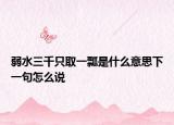 弱水三千只取一瓢是什么意思下一句怎么說